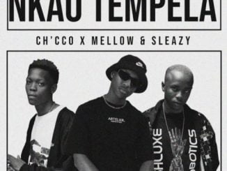Chicco Nkao Tempela Mp3 Download