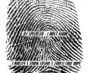 DJ Speedsta I Don’t Know Mp3 Download