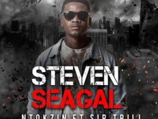 Ntokzin Steven Seagal Mp3 Download
