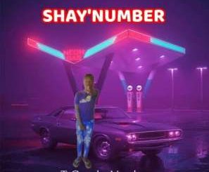 T-Gee The Vocalist SHAY’NUMBER Mp3 Download