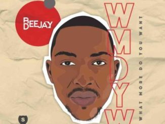 Bee Deejay What More Do You Want Mp3 Download