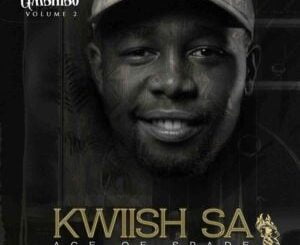 Kwiish SA Teka Mp3 Download