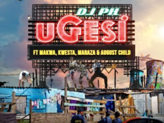DJ pH Ugesi Mp3 Download