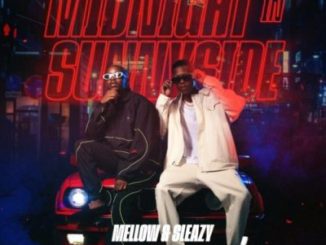 Mellow & Sleazy XO Mp3 Download