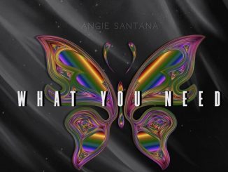 Angie Santana What You Need Mp3 Download