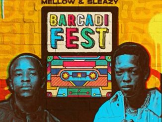 Mellow & Sleazy Barcadi Fest EP Download