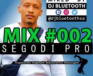 DJ Bluetooth Segodi Pro Mix #002 Download