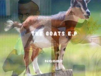 Ngobz uUncle Waffles Mp3 Download
