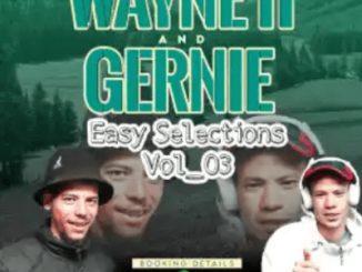 Wayne11 Easy Selections 03 Mix Download