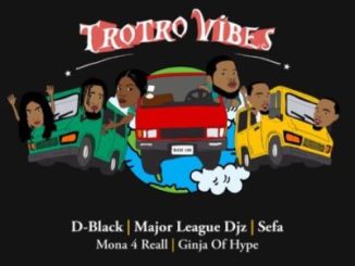 D-Black Trotro Vibes Mp3 Download
