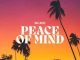 DJ Ace Peace of Mind Vol 47 Mp3 Download