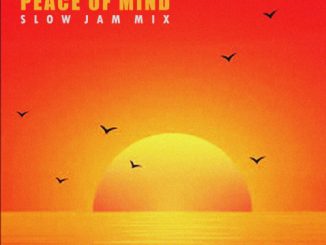 DJ Ace Peace of Mind Vol 48 Mp3 Download