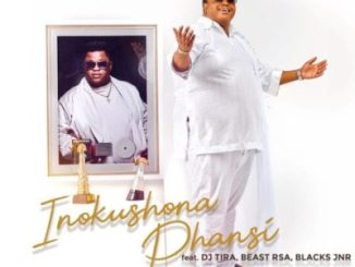 Dladla Mshunqisi Inokushona Phansi Mp3 Download