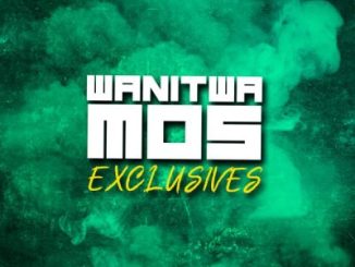 Wanitwa Mos Nqobile Mp3 Download