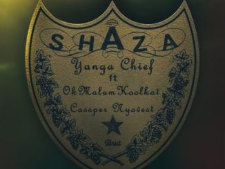 Yanga Chief Shaza Mp3 Download