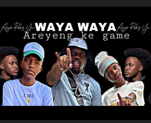 Mellow & Sleazy Waya Waya Mp3 Download
