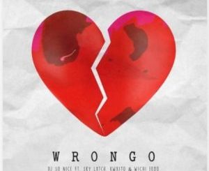 DJ So Nice Wrongo Mp3 Download