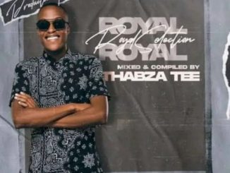Thabza Tee Royal Selection Vol. 13 Mp3 Download