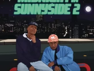 Mellow & Sleazy Midnight In Sunnyside 2 Album Download