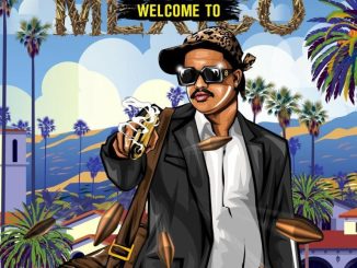 Unlimited Soul Welcome To Mexico Album Download