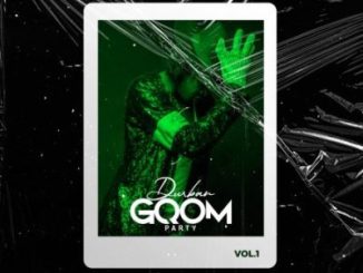 Various Artists Durban Gqom Party Vol. 1 Album Download