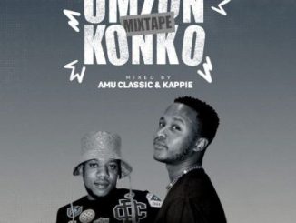Various Artists Umzonkonko Album Download