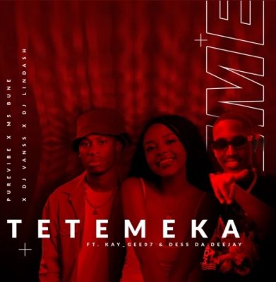 PureVibe Tetemeka Mp3 Download