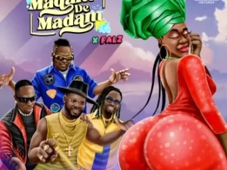 Yaba Buluku Boyz Madam De Madam Mp3 Download