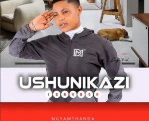 Ushunikazi Ngiyamthanda Mp3 Download