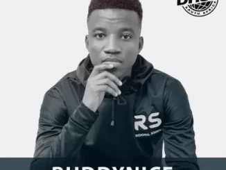 Buddynice Deep House South Africa 142 Mix Download