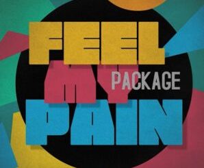 DJ Alaska Feel My Pain Mp3 Download