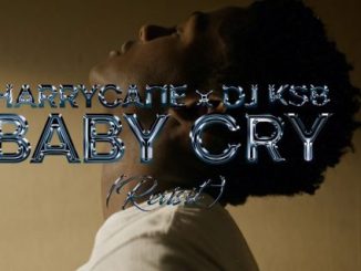 HarryCane Baby Cry Mp3 Download