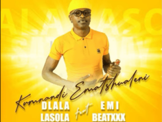 Dlala Lasola Kumnandi Ematshwaleni Mp3 Download