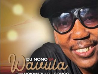 DJ Nono SA Wavula Mp3 Download