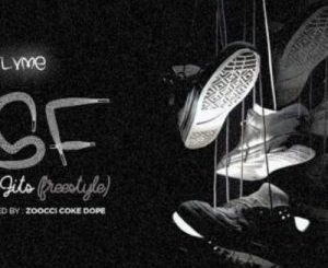 Flvme The Shoe Fits Mp3 Download