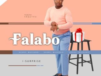 Falabo Kulelizwe Mp3 Download