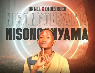 Dr Nel Nisongonyama Mp3 Download