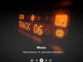 MalumNator Woza Mp3 Download