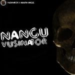 Vusinator Nangu Vusinator Mp3 Download