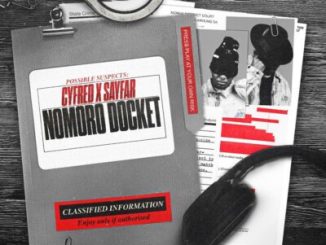 Cyfred Nomoro Docket Album Download