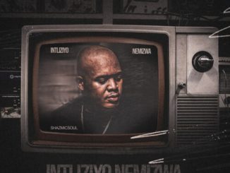Shazmicsoul Intliziyo Nemizwa EP Download