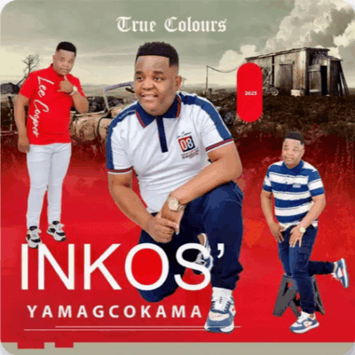 Inkos’yamagcokama Isidibene Mp3 Download