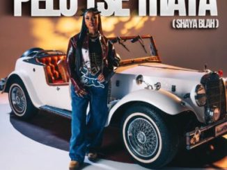 Pabi Cooper Pelo Tse Thata Mp3 Download