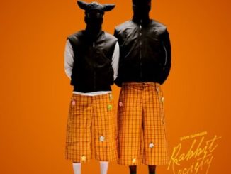 2woBunnies Bambezela Mp3 Download