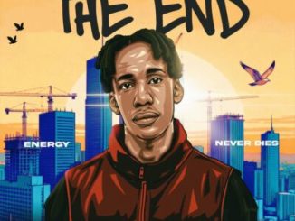 Novatron The End Album Download