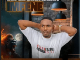 Imfezemnyama Imidlwembe Mp3 Download