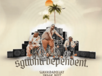 Sjavas DaDeejay Left Right Mp3 Download