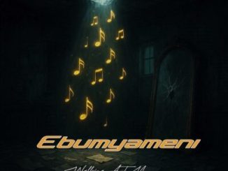 WalkingATM Ngikubonile Mp3 Download