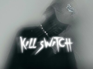 Flvme Kill Switch Mp3 Download