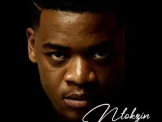 Ntokzin Busisiwe Album Download